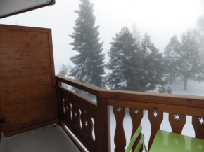 Joli studio 4 pers avec balcon sud aux Deux Alpes - Parking - FR-1-546-51
